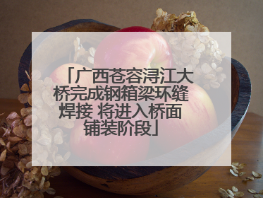 广西苍容浔江大桥完成钢箱梁环缝焊接 将进入桥面铺装阶段