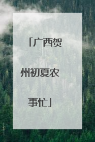 广西贺州初夏农事忙