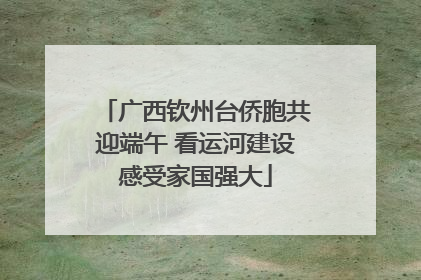 广西钦州台侨胞共迎端午 看运河建设感受家国强大