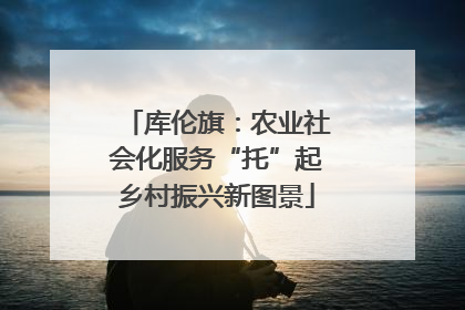 库伦旗:农业社会化服务“托”起乡村振兴新图景