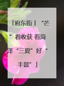 府东街丨“芒”着收获 看菏泽“三夏”好“丰景”