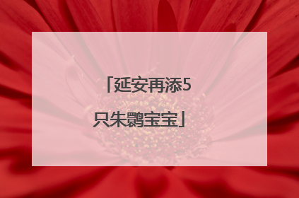 延安再添5只朱鹮宝宝