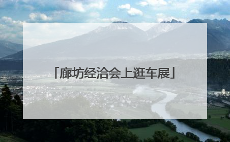廊坊经洽会上逛车展