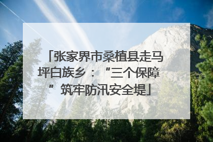 张家界市桑植县走马坪白族乡：“三个保障”筑牢防汛安全堤