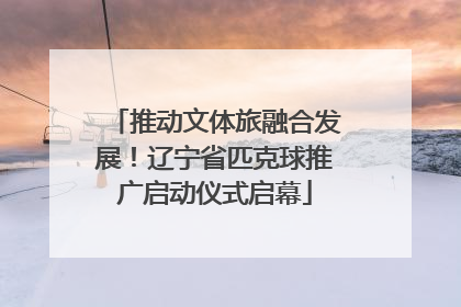 推动文体旅融合发展！辽宁省匹克球推广启动仪式启幕