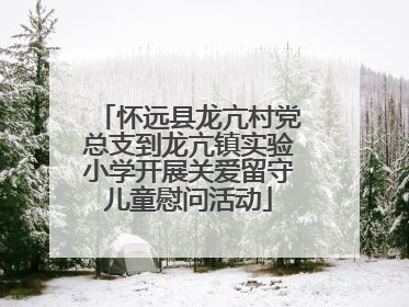 怀远县龙亢村党总支到龙亢镇实验小学开展关爱留守儿童慰问活动