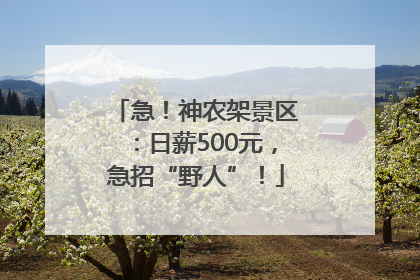 急！神农架景区：日薪500元，急招“野人”！