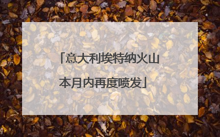 意大利埃特纳火山本月内再度喷发