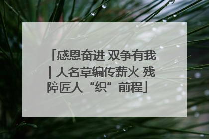感恩奋进 双争有我｜大名草编传薪火 残障匠人“织”前程