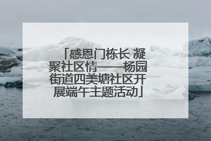 感恩门栋长 凝聚社区情——杨园街道四美塘社区开展端午主题活动