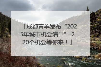 成都青羊发布“2025年城市机会清单” 220个机会等你来！