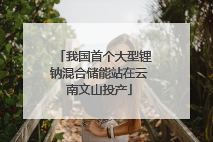 我国首个大型锂钠混合储能站在云南文山投产