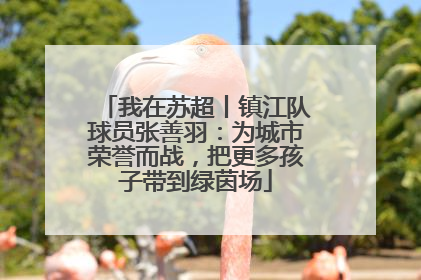 我在苏超丨镇江队球员张善羽：为城市荣誉而战，把更多孩子带到绿茵场