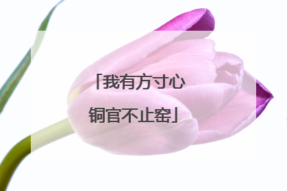 我有方寸心 铜官不止窑