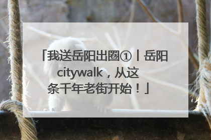 我送岳阳出圈①丨岳阳citywalk，从这条千年老街开始！