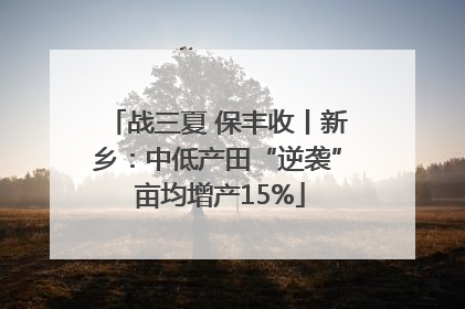 战三夏 保丰收丨新乡：中低产田“逆袭” 亩均增产15%