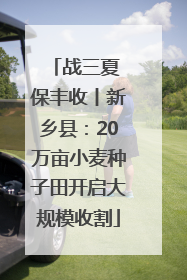 战三夏 保丰收丨新乡县：20万亩小麦种子田开启大规模收割
