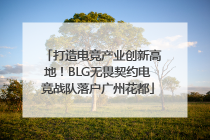 打造电竞产业创新高地！BLG无畏契约电竞战队落户广州花都