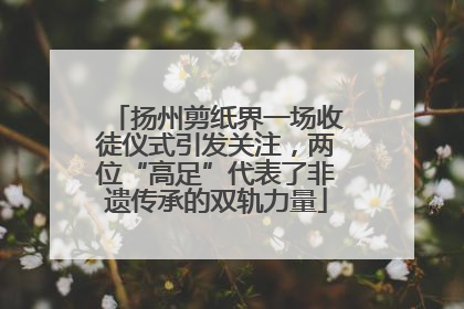 扬州剪纸界一场收徒仪式引发关注，两位“高足”代表了非遗传承的双轨力量