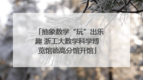 抽象数学“玩”出乐趣 浙工大数学科学博览馆德高分馆开馆