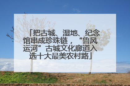把古城、湿地、纪念馆串成珍珠链，“鲁风运河”古城文化廊道入选十大最美农村路