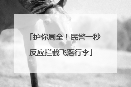 护你周全！民警一秒反应拦截飞落行李