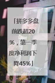 拼多多盘前跌超20%，第一季度净利润下降45%