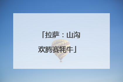 拉萨：山沟欢腾赛牦牛