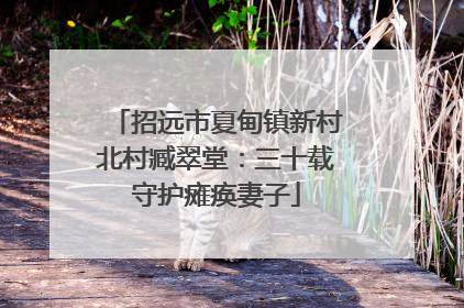 招远市夏甸镇新村北村臧翠堂：三十载守护瘫痪妻子