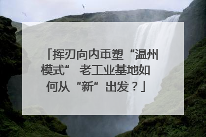 挥刃向内重塑“温州模式” 老工业基地如何从“新”出发？
