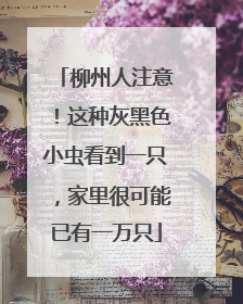 柳州人注意！这种灰黑色小虫看到一只，家里很可能已有一万只