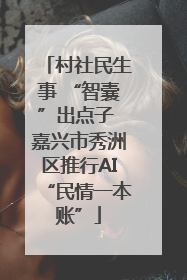村社民生事 “智囊”出点子 嘉兴市秀洲区推行AI“民情一本账”