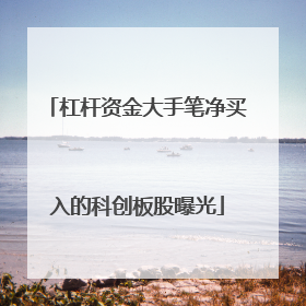 杠杆资金大手笔净买入的科创板股曝光