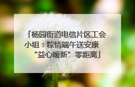 杨园街道电信片区工会小组：粽情端午送安康 “益心暖新”零距离