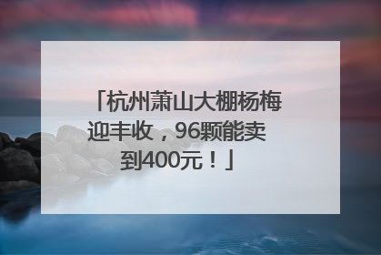 杭州萧山大棚杨梅迎丰收，96颗能卖到400元！
