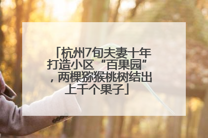 杭州7旬夫妻十年打造小区“百果园”，两棵猕猴桃树结出上千个果子