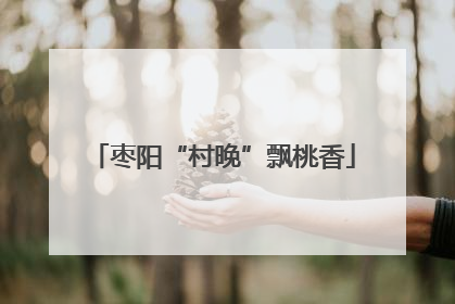 枣阳“村晚”飘桃香