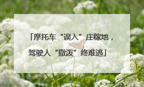 摩托车“误入”庄稼地，驾驶人“撒泼”终难逃