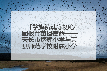 擎旗铸魂守初心 固根育苗担使命——天长市炳辉小学与萧县师范学校附属小学结对共建活动纪实