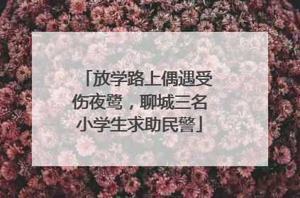 放学路上偶遇受伤夜鹭，聊城三名小学生求助民警