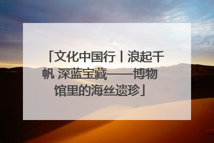 文化中国行丨浪起千帆 深蓝宝藏——博物馆里的海丝遗珍