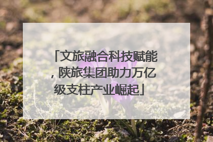 文旅融合科技赋能，陕旅集团助力万亿级支柱产业崛起