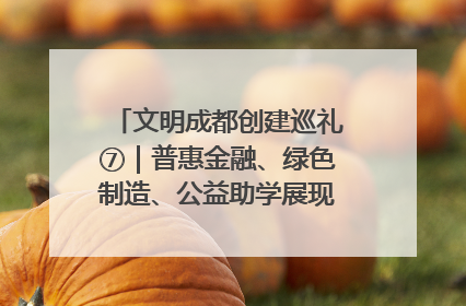 文明成都创建巡礼⑦｜普惠金融、绿色制造、公益助学展现城市文明底色