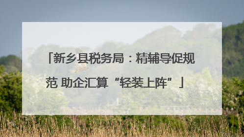 新乡县税务局：精辅导促规范 助企汇算“轻装上阵”