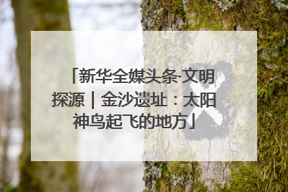 新华全媒头条·文明探源｜金沙遗址：太阳神鸟起飞的地方