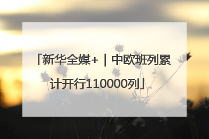 新华全媒+｜中欧班列累计开行110000列
