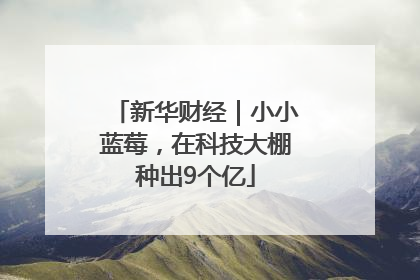 新华财经｜小小蓝莓，在科技大棚种出9个亿