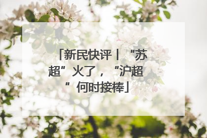 新民快评丨“苏超”火了，“沪超”何时接棒