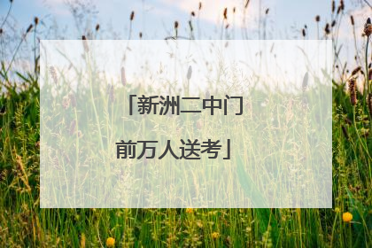新洲二中门前万人送考