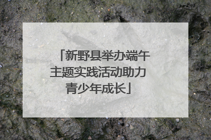 新野县举办端午主题实践活动助力青少年成长